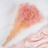 gips royal baby pink 3
