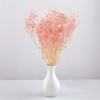 gips royal baby pink 5