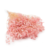 gips royal baby pink