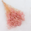 gips royal baby pink 1