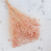 Gips royal Soft Pink 1