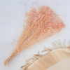 Gips royal Soft Pink 3