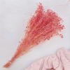 gips royal raspberry 3