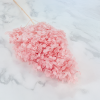 Hortensja Conical soft pink 1