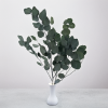 Populus zielony ROYAL 4