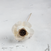 Shola Peony Titonia 3