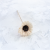 Shola Sunflower 2