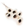 Shola sola Sunflower bukiet 10szt