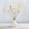 Shola Begonia