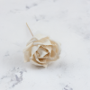Shola Rose Special 2