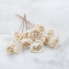 Shola Rose Special