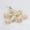 Shola Beauty Rose 2