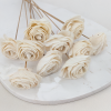 Shola Beauty Rose 1