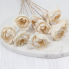 Shola Peony 1