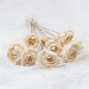 Shola Peony 3