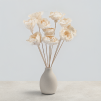 Shola Peony