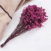 Stabilizované Limonium – (Limonium Sinense) – Malinová Fuksia