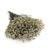 Stabilizované Limonium – (Limonium Sinense) – Prírodná Biela