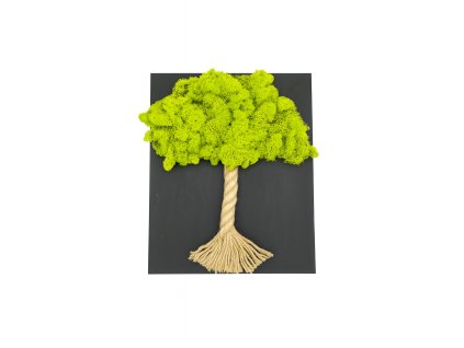 ChatGPT Image 30. 7. 2025 12 01 42