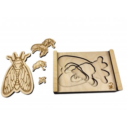 Puzzle - vývojový cyklus Cikády