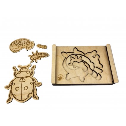 Puzzle - vývojový cyklus Slunéčko