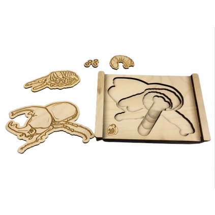 Puzzle - vývojový cyklus Nosorožík