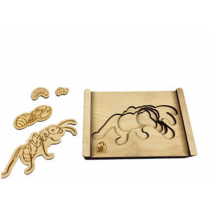 Puzzle - vývojový cyklus Mravenec