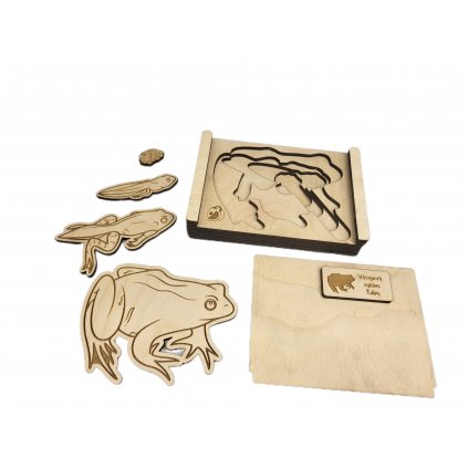 Puzzle - vývojový cyklus Žába