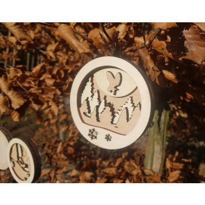 Vánoční ozdoby - přírodní