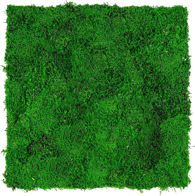Návod pro použití Plochého mechu (Flat moss)