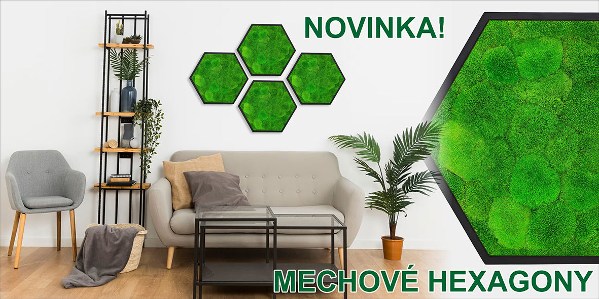 Mechové hexagony