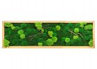 Mechové obrazy 40x140cm