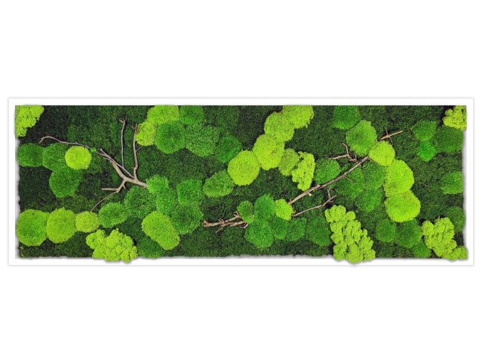 mechovy obraz bily ram 136x56cm w2