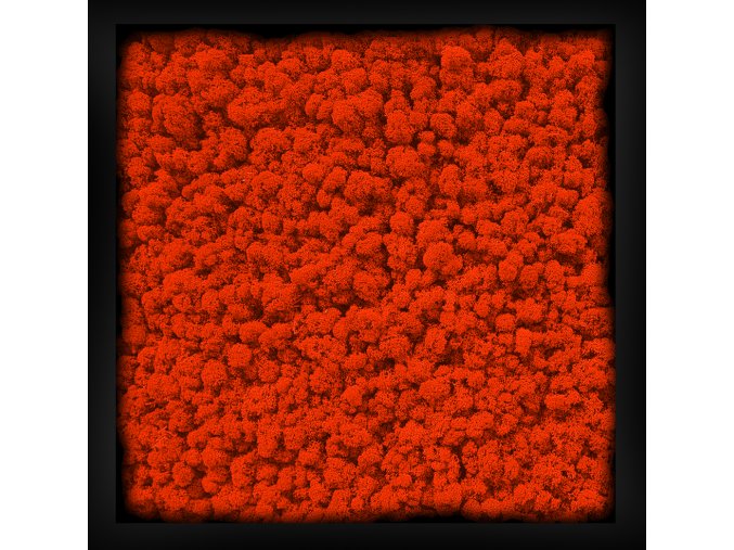 mechovy obraz 30x30cm sobi redl