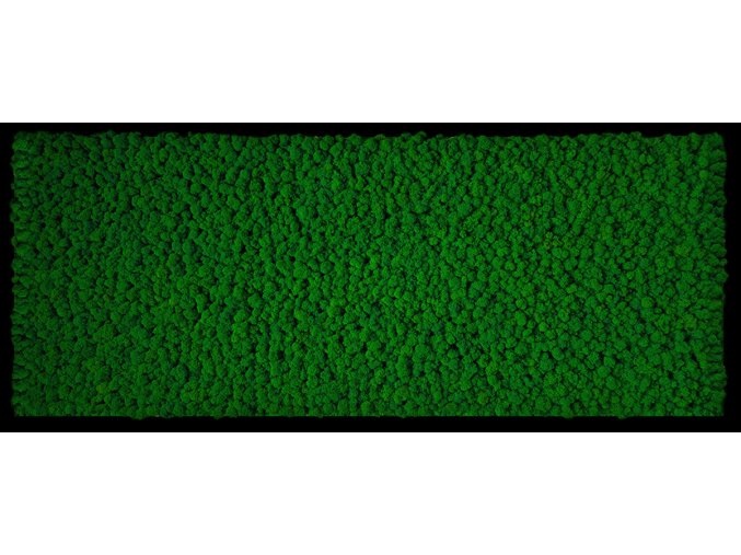 R1CZ136X56CHRC Obraz 136x56cm, výplň Sobí mech Apple green tmavě zelený, rám černý tenký