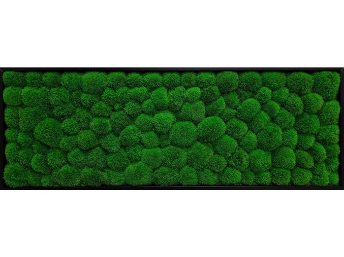 R1CZ136X56PC Obraz 136x56cm, výplň Kopečkový mech tmavě zelený, rám černý tenký