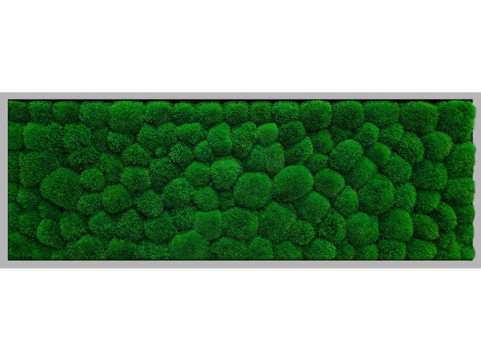 R1SZ136X56PC Obraz 136x56cm, výplň Kopečkový mech tmavě zelený, rám šedý tenký