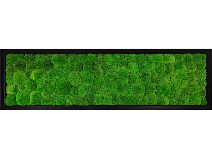 mechovy obraz 140x40 kopeckovy svetle zeleny 4x3ram cerny