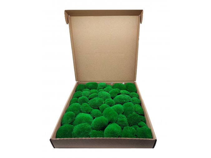 dark moss kopeckovy mech tmave zeleny mechcentrum 1900g 0.6m2 web
