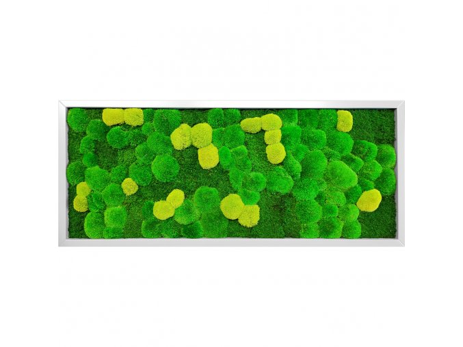 882 7 obraz 136x56cm vypln kombinace kopeckovy mech 3 barev plochy mech ram sedy tenky
