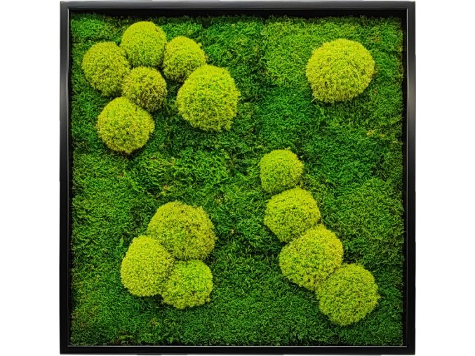 kombinace jarní zeleného kopečkového mechu se světle zeleným plochým mechem