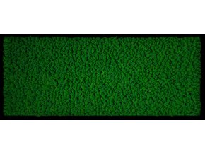 R1CZ136X56CHRC Obraz 136x56cm, výplň Sobí mech Apple green tmavě zelený, rám černý tenký