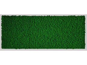 R1SZ136X56CHRC Obraz 136x56cm, výplň Sobí mech Apple green tmavě zelený, rám šedý tenký