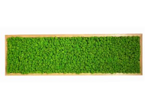 409 mechovy obraz 40x140cm mech sobi svetle zeleny ram dreveny dub