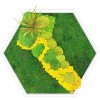 hexagon rám bílý žlutý mech3
