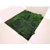 Mech plochý SWE - barva středně zelená (Flat moss)