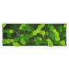 mechovy obraz bily ram 136x56cm w2