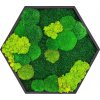 mechove hexagony 3ks 22