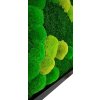 R1CZ136X56MIX PJ FMechcentrum5