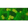 R1CZ136X56MIX PJ FMechcentrum4